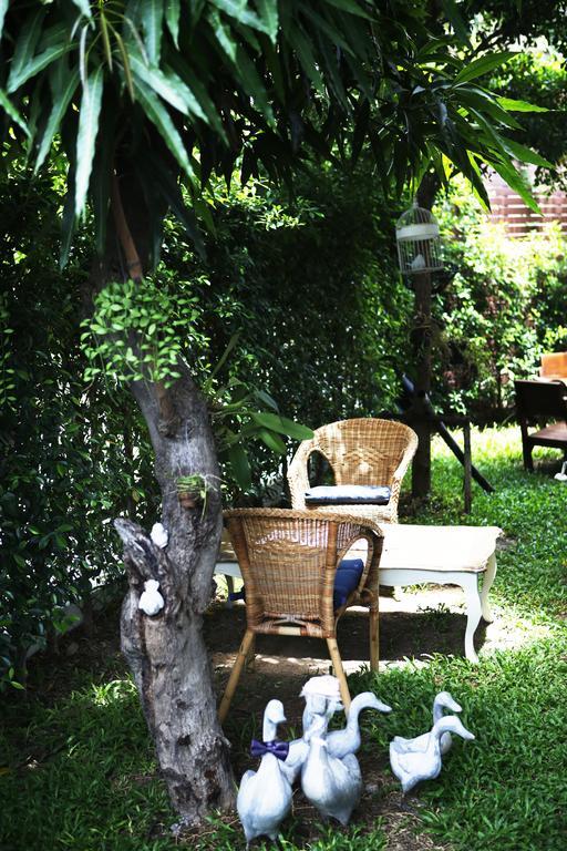 Mona Chiangmai Boutique Hotel Chiang Mai Ngoại thất bức ảnh