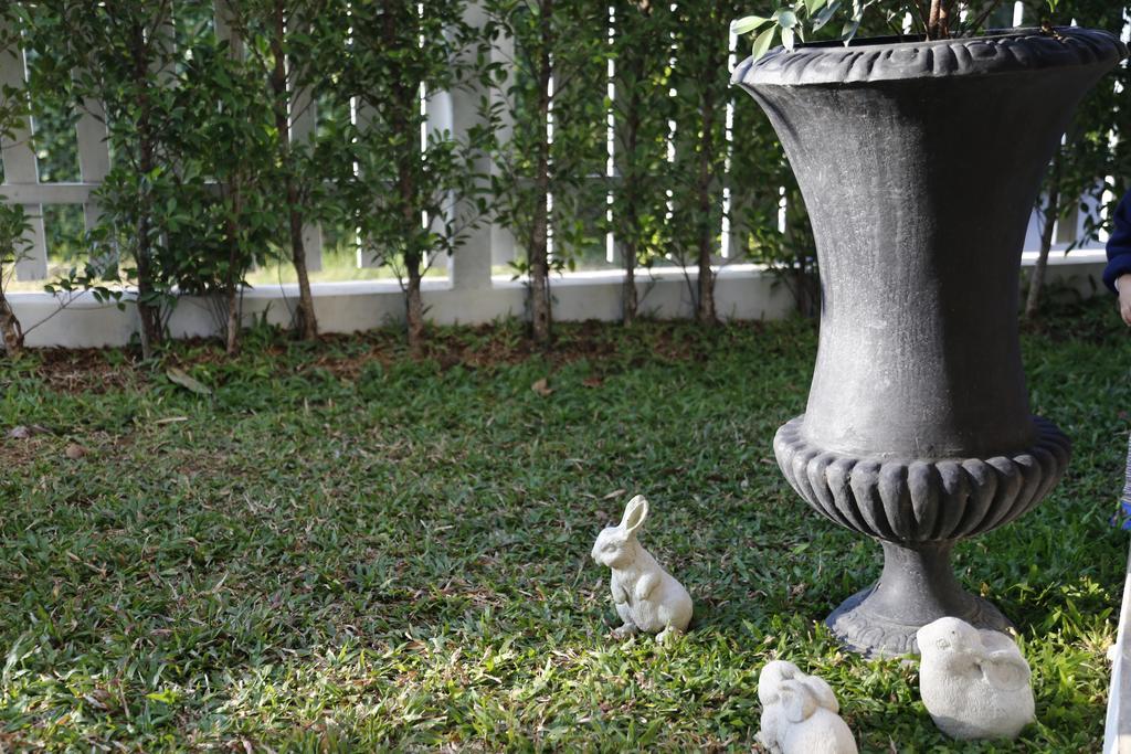 Mona Chiangmai Boutique Hotel Chiang Mai Ngoại thất bức ảnh